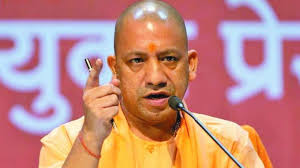 yogi.jpg