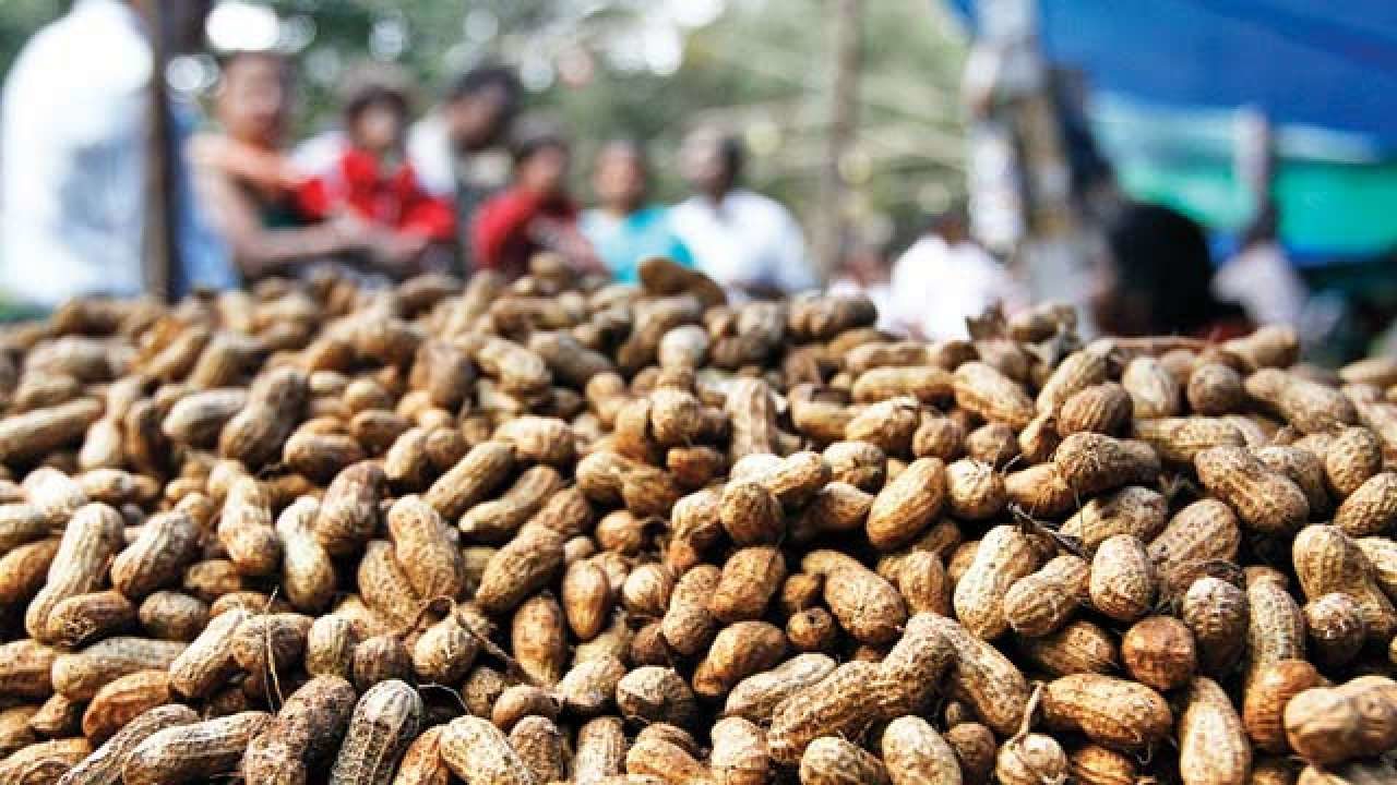 mugfali-1280x720.jpg