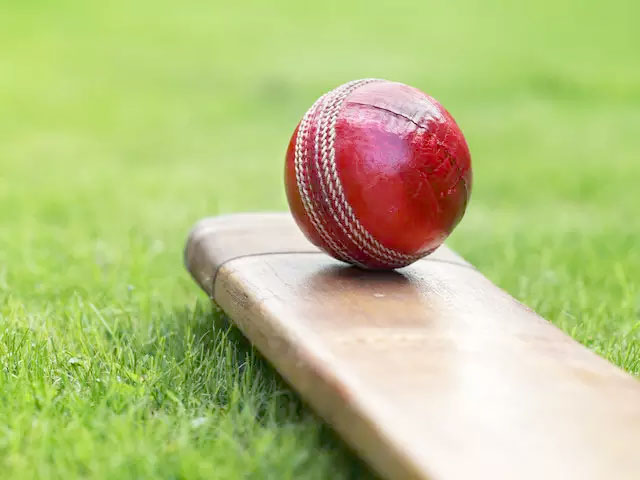 cricket-1.jpg