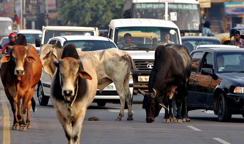 rajkot.jpg